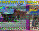20170514_170052.png